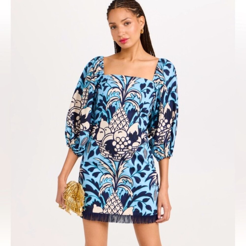 Cara Cara Montauk Dress Blue Fruit Basket SZ Small NWT